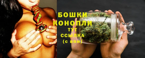 ГАЛЛЮЦИНОГЕННЫЕ ГРИБЫ Дмитровск