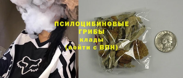 СК Гусев