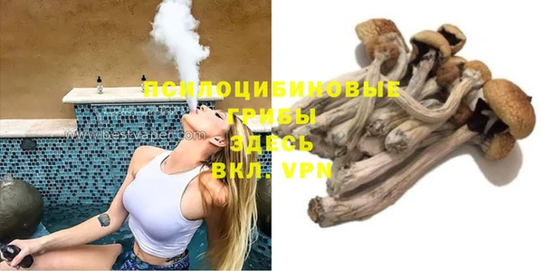марихуана Гусиноозёрск