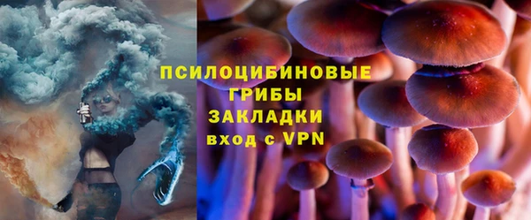 марихуана Гусиноозёрск