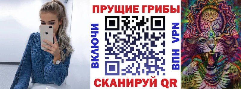 купить  сайты  Сургут  Псилоцибиновые грибы Psilocybine cubensis 